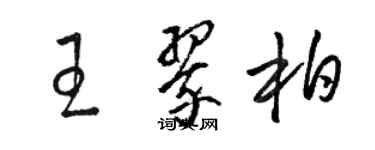 骆恒光王翠柏草书个性签名怎么写