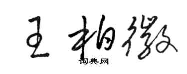 骆恒光王柏徽草书个性签名怎么写