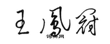 骆恒光王凤冠草书个性签名怎么写