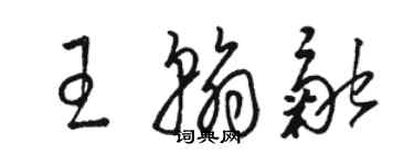 骆恒光王翰融草书个性签名怎么写