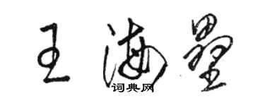 骆恒光王海垒草书个性签名怎么写