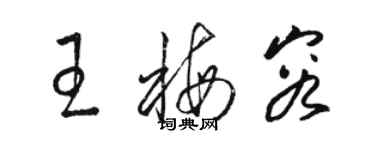 骆恒光王梅容草书个性签名怎么写