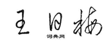 骆恒光王日梅草书个性签名怎么写