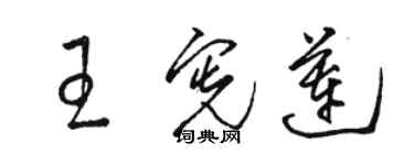 骆恒光王宪莲草书个性签名怎么写