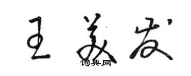 骆恒光王美发草书个性签名怎么写