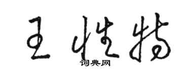 骆恒光王性特草书个性签名怎么写