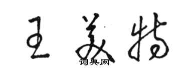 骆恒光王美特草书个性签名怎么写
