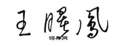 骆恒光王曙凤草书个性签名怎么写