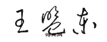 骆恒光王盟东草书个性签名怎么写