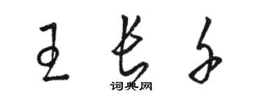 骆恒光王长千草书个性签名怎么写