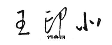 骆恒光王印北草书个性签名怎么写