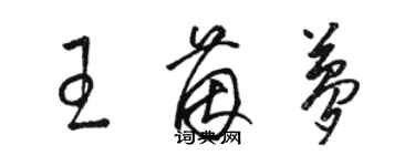 骆恒光王茵梦草书个性签名怎么写