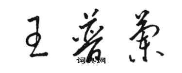 骆恒光王普兰草书个性签名怎么写
