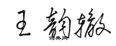 骆恒光王韵辙草书个性签名怎么写