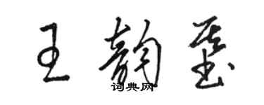 骆恒光王韵基草书个性签名怎么写