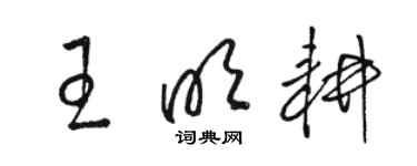骆恒光王明耕草书个性签名怎么写