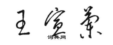骆恒光王宣兰草书个性签名怎么写