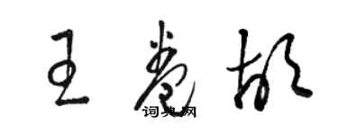 骆恒光王卷胡草书个性签名怎么写