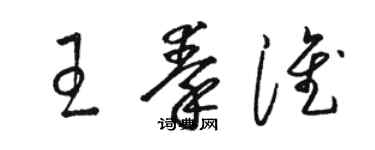 骆恒光王秦淮草书个性签名怎么写
