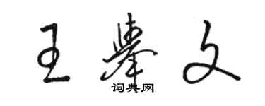 骆恒光王举文草书个性签名怎么写