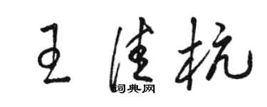 骆恒光王佳杭草书个性签名怎么写