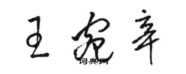骆恒光王宛辛草书个性签名怎么写