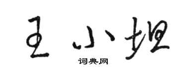 骆恒光王小坦草书个性签名怎么写