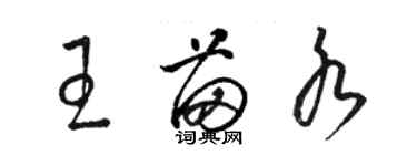 骆恒光王苗水草书个性签名怎么写
