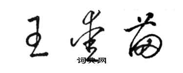 骆恒光王爱苗草书个性签名怎么写