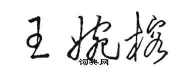 骆恒光王婉榕草书个性签名怎么写