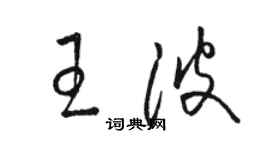 骆恒光王波草书个性签名怎么写