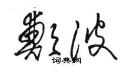 骆恒光郑波草书个性签名怎么写