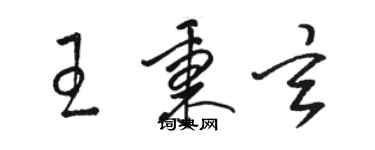 骆恒光王秉玄草书个性签名怎么写
