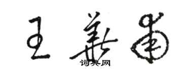 骆恒光王华甫草书个性签名怎么写