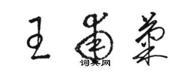 骆恒光王甫菊草书个性签名怎么写