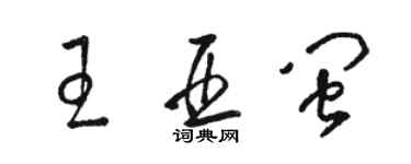 骆恒光王亚闽草书个性签名怎么写
