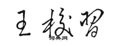 骆恒光王校习草书个性签名怎么写