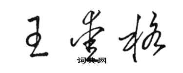 骆恒光王爱格草书个性签名怎么写