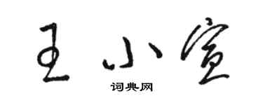骆恒光王小宣草书个性签名怎么写