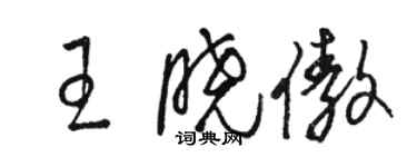 骆恒光王晓傲草书个性签名怎么写