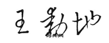 骆恒光王动地草书个性签名怎么写
