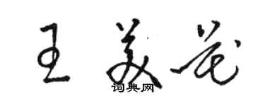 骆恒光王美花草书个性签名怎么写
