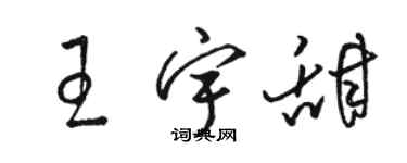 骆恒光王宇甜草书个性签名怎么写
