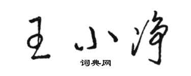 骆恒光王小净草书个性签名怎么写