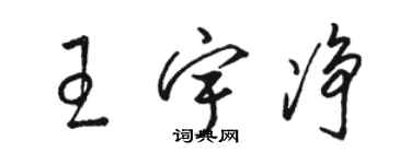 骆恒光王宇净草书个性签名怎么写