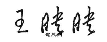 骆恒光王映映草书个性签名怎么写