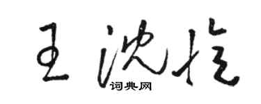 骆恒光王沈忆草书个性签名怎么写