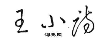 骆恒光王小诗草书个性签名怎么写