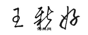 骆恒光王新好草书个性签名怎么写