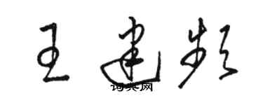 骆恒光王建频草书个性签名怎么写
